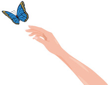 Butterflies And Hands Transparent Background Blue Monarch Butterfly Leaving Woman Hand