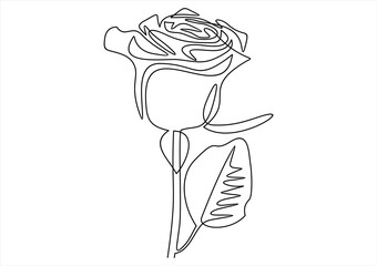 Wall Mural - One line rose design. Hand drawn minimalism style illustration