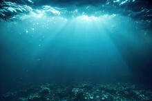Ocean Floor With Rocks Amazing Underwater World Seascape