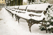 City park covered with snow. Wooden benches in the city park covered with a winter blanket. City park covered with winter blanket in the month of January.