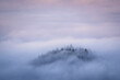 Trees on a mountain top rise out of the fog during an inversion weather situation in the Black Forest