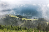 Fototapeta Sypialnia - Green meadow in the forest mountain range in gray deep fog and clouds, Carpathians mountains, Chornogora, Ukraine