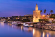 Scenic view of Seville by night with Torre del Oro reflection in water