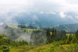 Fototapeta Sypialnia - Green meadow in the forest mountain range in gray deep fog and clouds, Carpathians mountains, Chornogora, Ukraine