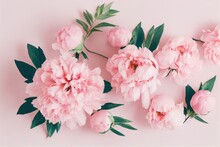 Delicate Peach Buds And Peon Flower With Leaves On Pink Background