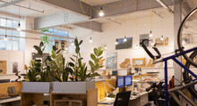 Plants And Hanging Bicycle In Open Plan Office