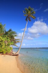 Canvas Print - Guadeloupe perfect sandy beach