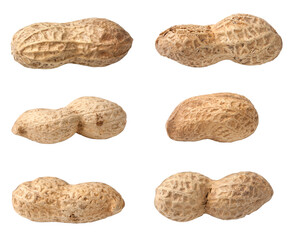 Poster - Set of Peanut isolated