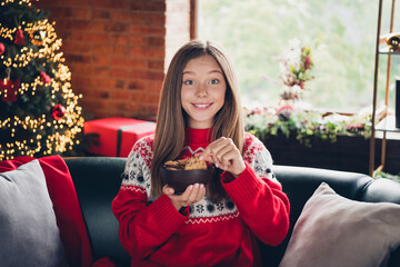 Poster - Photo of lovely peaceful girl sitting couch hands hold baked chocolate cookies plate christmastime magic house indoors