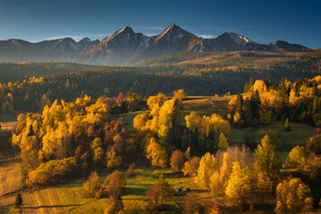 Autumn views near the village of Osturnia in Slovakia. Colorful trees harmonize beautifully with the Tatra Mountains in the background.