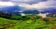 Beautiful view of the river crossing the evergreen tea plantations, panoramic
