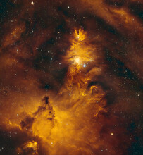 The Christmas Tree Cluster, Cone Nebula And The Fox Fur Nebula In The Constellation Of Monoceros. Seen In Hydrogen Alpha Light Which Shines Like Yellow Glowing Gas And With Foreground Stars.