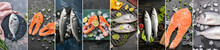 Collection Of Cold Fishes On Dark Background