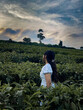 woman in tea plantation