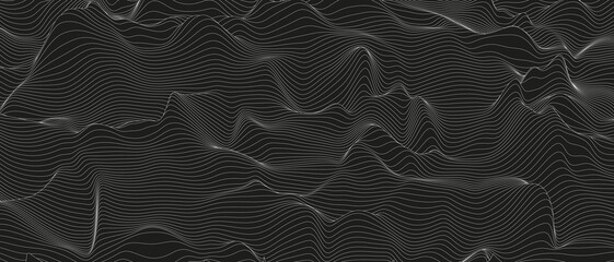 Poster - Abstract background with distorted line shapes on a black background. Monochrome sound line waves.