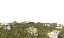 Grass Field Small Plant And Stones