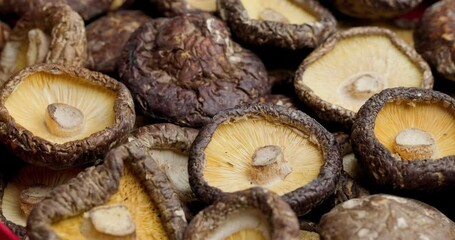 Canvas Print - Dried Shiitake mushrooms food ingredient