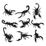Fototapeta Dinusie - Scorpion silhouette, templates set. Objects for packaging design, tattoo illustration, items for cutting, printing
