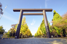 Yasukuni Shrine And Ginkgo Tree Road In Tokyo, Japan