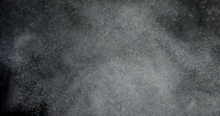Wall Mural - Organic Dust Particles System Floating On Black Screen. Slow motion Background. RED camera.