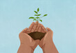 © fStop - Close up hands cupping sapling growing in soil