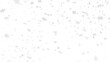 © Juan - Snowflakes falling down on transparent background, heavy snow flakes isolated, Flying rain, overlay effect for composition