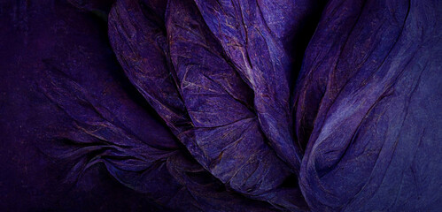 Wall Mural - abstract violet quartzite stone organic nature leaves wallpaper background. 3d render illustration.