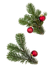 christmas fir twigs isolated transparent background, png. xmas decoration, fresh pine branch and red