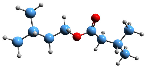 Poster -  3D image of Isoamyl isovalerate skeletal formula - molecular chemical structure of Isopentyl 3-methylbutanoate isolated on white background