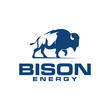 Bison Energy logo inspiration, lightning
