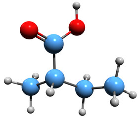 Poster -  3D image of methyl-ethyl-acetic acid skeletal formula - molecular chemical structure of organic compound isolated on white background
