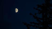 View Of A Half Moon At Night