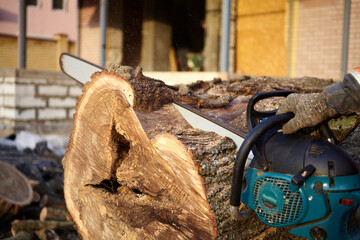 Poster - A woodcutter saws a tree with a chainsaw