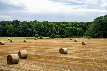 Sticker - Beautiful view of bales of straw on a mowed field