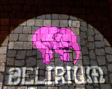 Pink Elephant And The Word Delirium