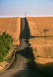 A farm to market gravel road separating wheat fields near Pendleton, Oregon.  Roads in this area follow the natural contour of the land.  An old style windmill is still operating.