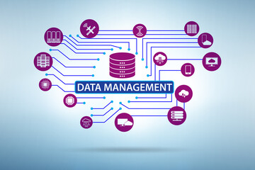 Wall Mural - Illustration of data management concept