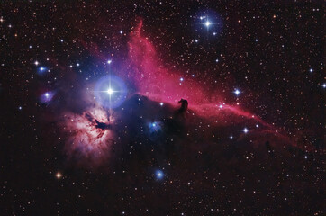 Wall Mural - The Horsehead Nebula and its surroundings in the constellation Orion