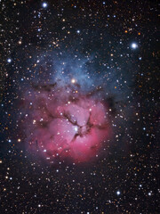 the trifid nebula
