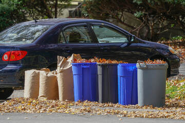 Wall Mural - fallen leaves collected in containers and bags in front yard in autumn