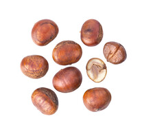 Chestnut Seed Isolated On Transparent Png