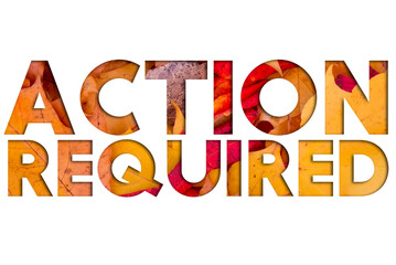 Poster - Autumn leaves, objects with Action Required text. Natural patterns, color design.
