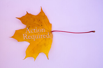 Poster - Autumn leaves, objects with Action Required text. Natural patterns, color design.