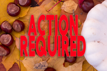 Poster - Autumn leaves, objects with Action Required text. Natural patterns, color design.