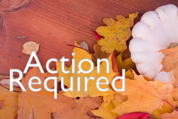 Poster - Autumn leaves, objects with Action Required text. Natural patterns, color design.