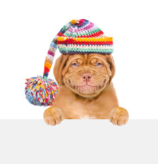 Poster - Smiling puppy wearing a warm hat looks above empty white board. isolated on white background