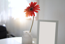 The Red Flowers In A White Vase Are Placed Next To The Frame And The Sunlight Is Pouring In. They Are Placed By The Window To Decorate The Minimalist Room And The Frame Has Space For Insert Text.