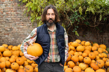 Poster - Bearded farmer with pumpkin on a background of a pile of pumpkins
