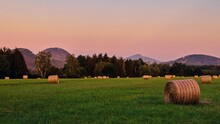 The Straw Bales At The Meadow During Evening Near Novy Bor, Czech Republic