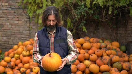 Poster - Bearded farmer with pumpkin on a background of a pile of pumpkins